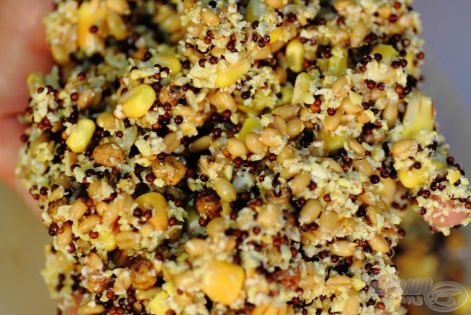 00055403.jpg 00055403.jpg