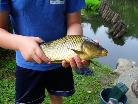 2011_0728diosjeno0024.jpg 2011_0728diosjeno0024.jpg