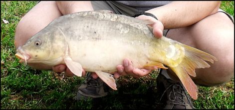 2011_0806roncsderby0035.jpg 2011_0806roncsderby0035.jpg